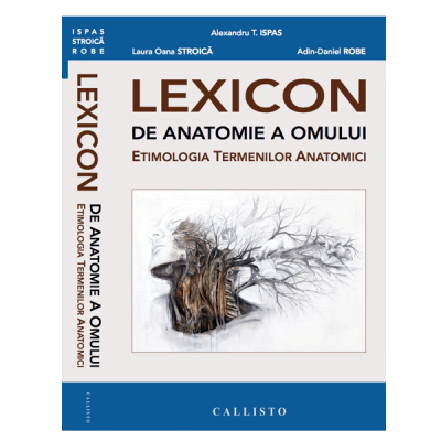 Lexicon de Anatomie a Omului, Etimologia Termenilor Anatomici